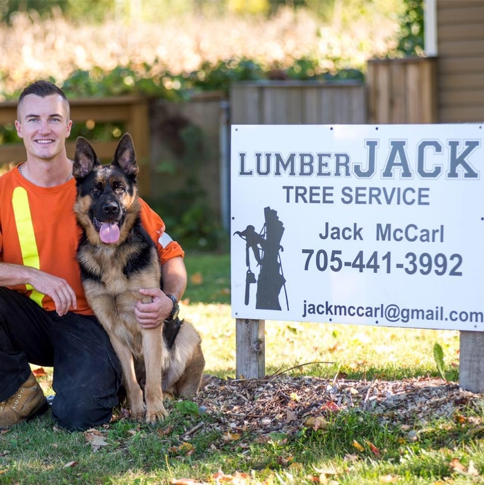 Lumber Jack Tree Service