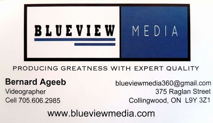 Blueview Media